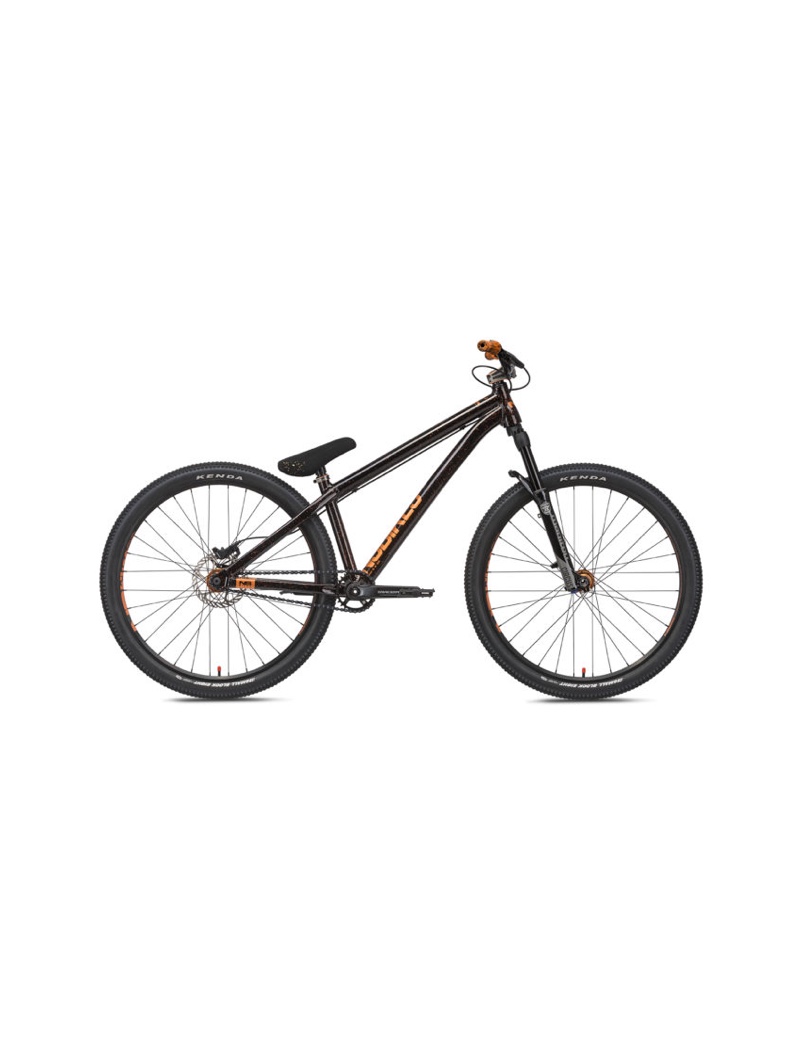 ns dirtbike